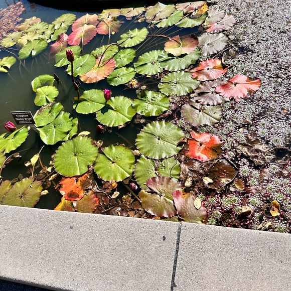 Meet your Posher, Susane - Picture 14 of 17